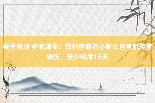 赛季回顾 多家媒体：普利西奇右小腿比目鱼肌轻度毁伤，至少缺席15天