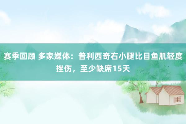 赛季回顾 多家媒体：普利西奇右小腿比目鱼肌轻度挫伤，至少缺席15天