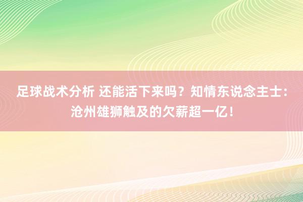 足球战术分析 还能活下来吗？知情东说念主士：沧州雄狮触及的欠薪超一亿！