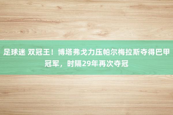 足球迷 双冠王！博塔弗戈力压帕尔梅拉斯夺得巴甲冠军，时隔29年再次夺冠