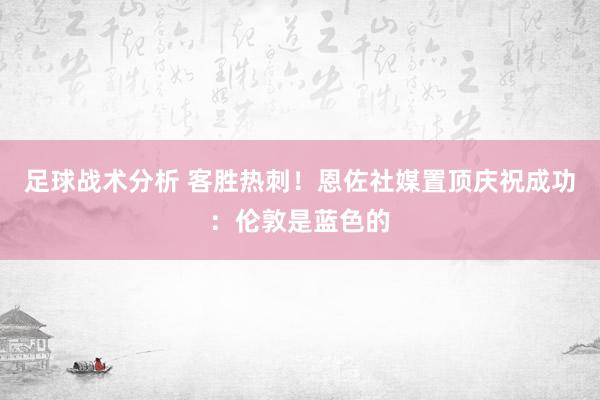 足球战术分析 客胜热刺！恩佐社媒置顶庆祝成功：伦敦是蓝色的