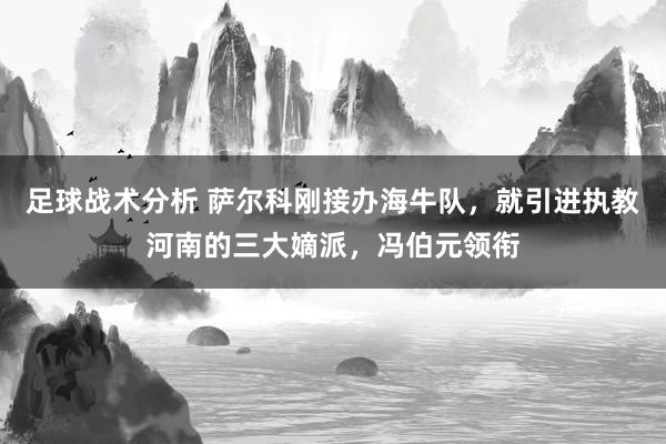 足球战术分析 萨尔科刚接办海牛队，就引进执教河南的三大嫡派，冯伯元领衔